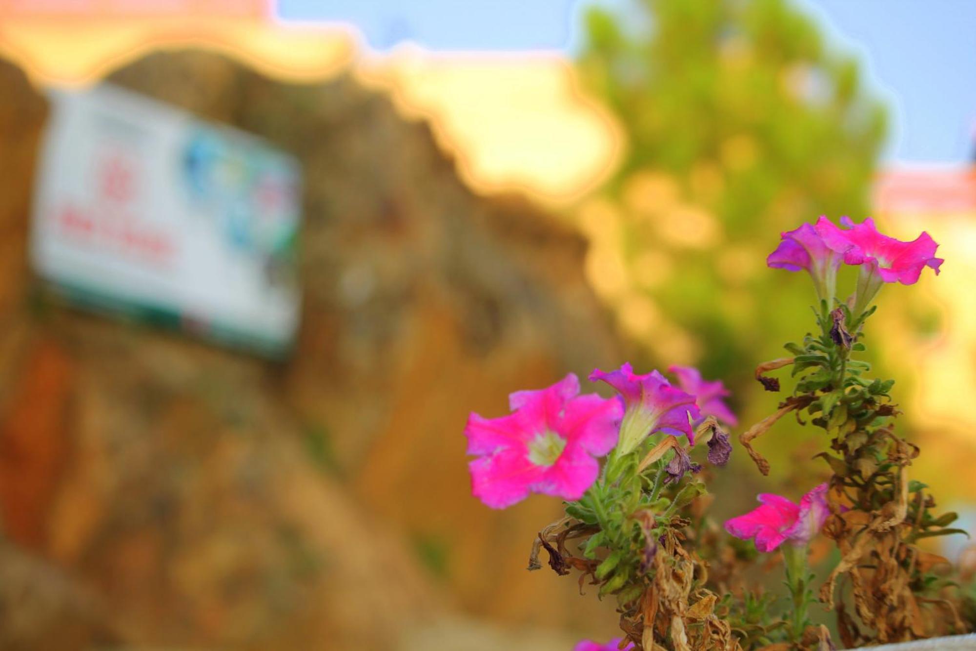 Red Rose Hotel & Resort Mansehra Esterno foto