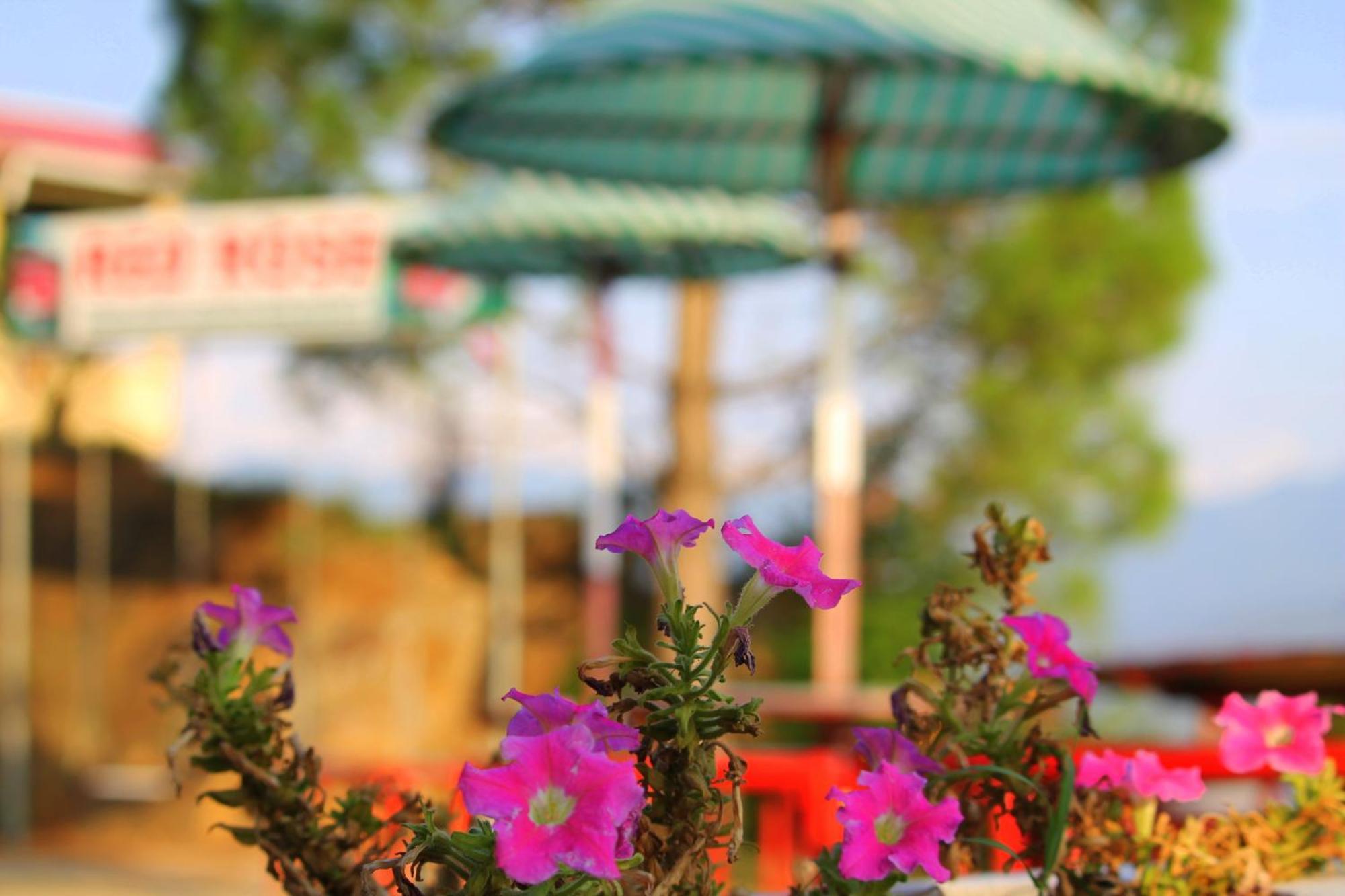 Red Rose Hotel & Resort Mansehra Esterno foto